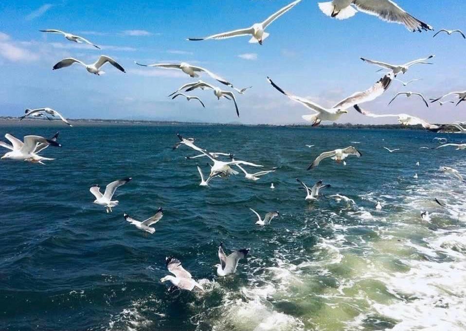 Appartamento Indipendente Vista Unica Manciano Dış mekan fotoğraf